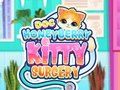 Spiel Doc HoneyBerry Kitty Chirurgie  Online