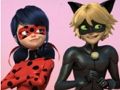 Spiel Wunderbarer Marienkäfer & Cat Noir Puzzle  Online