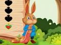 Spiel Eichhörnchen entkommen  Online
