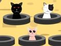 Spiel Katzen fangen  Online