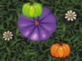 Spiel Farbe Kürbis Match  Online