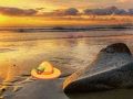 Spiel Flucht aus Sunset Beach  Online
