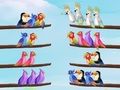 Spiel Vogel-Sorten-Puzzle  Online