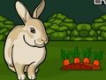 Spiel Rette das graue Kaninchen  Online