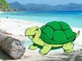 Spiel Flucht eines Strandkrabbenpaares  Online