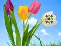 Spiel Flucht aus dem Blumenrasen  Online