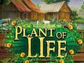 Spiel Pflanze des Lebens  Online
