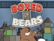 Spiel We Bare Bears: Eingepackte Bären  Online
