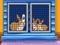 Spiel Finden Sie das Tier-Erste-Hilfe-Set  Online