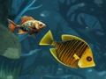 Spiel Endloser Fischspaß Online Spiel Endloser Fischspaß Online