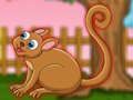 Spiel Die niedliche Tarsier-Flucht  Online