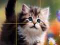 Spiel Puzzle Schiebekätzchen  Online