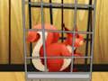 Spiel Retten Sie das Eichhörnchen aus dem Käfig  Online
