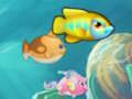 Spiel Essen Sie kleine Fische  Online