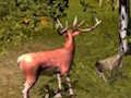 Spiel Hirschjagd  Online