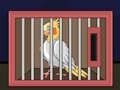 Spiel Lassen Sie den Nymphensittich-Vogel frei  Online