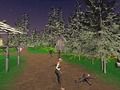 Spiel Femme Guardian: Dorfverteidigerin  Online