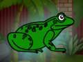 Spiel Rette die grüne Kröte aus dem Kerker  Online