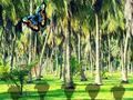 Spiel Retten Sie den Tasmanischen Tiger  Online