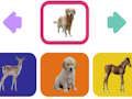 Spiel Tierbabys  Online
