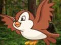 Spiel Helfen Sie dem durstigen Vogel  Online