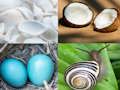 Spiel 4 Bilder 1 Wortspiel  Online