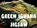 Spiel Grüner Leguan-Puzzle  Online