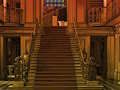 Spiel Hundeausweg  Online