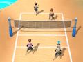 Spiel Beachvolleyball 3D  Online