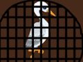 Spiel Höhlenkranich-Rettung  Online