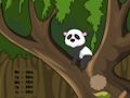 Spiel Panda-Dschungel-Flucht  Online
