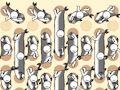 Spiel Fischsammeln  Online
