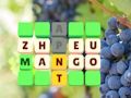 Spiel Wortfolie  Online