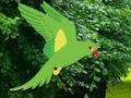 Spiel Papagei findet das Nest  Online