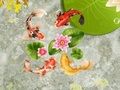 Spiel Koi-Fischteich  Online