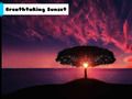 Spiel Atemberaubender Sonnenuntergang  Online