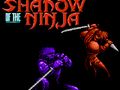 Spiel Schatten des Ninja  Online