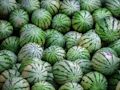 Spiel Wassermelonen-Puzzle  Online
