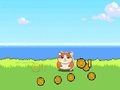 Spiel Hamster-Kombat-Clicker  Online