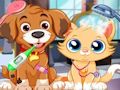 Spiel Tierarztpflege für Welpen  Online
