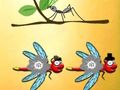 Spiel Finden Sie Dragonfly Cooper  Online