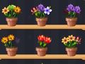 Spiel Guter Blumenmeister  Online