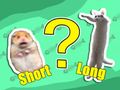 Spiel Kinderquiz: Kürzestes und längstes  Online