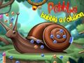 Spiel Kieselblasenentwicklung  Online