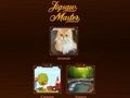 Spiel Puzzle-Meister  Online