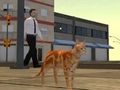 Spiel Cat City-Simulator  Online