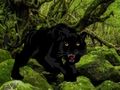 Spiel Flucht aus dem Black Panther Forest  Online