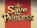 Spiel Rette die Prinzessin  Online