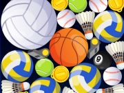 Spiel Sportfusion  Online