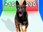 Spiel Hunde-Evolutionslauf  Online